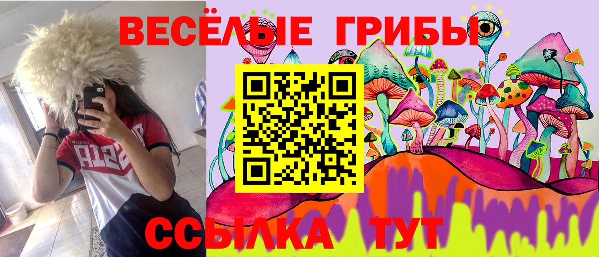 наркотики  Вход с VPN  Ессентуки  Псилоцибиновые грибы Cubensis 
